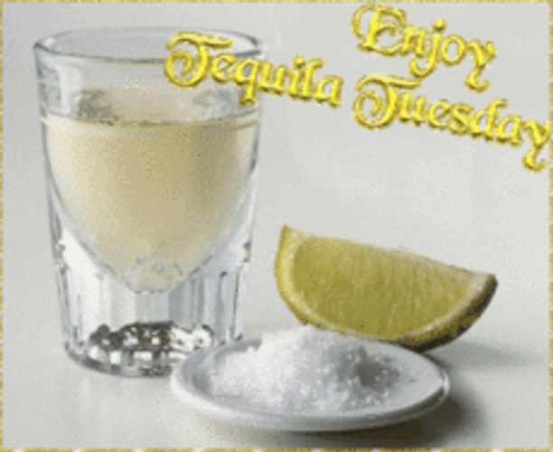 Shimmering Tequila Tuesday Shots GIF