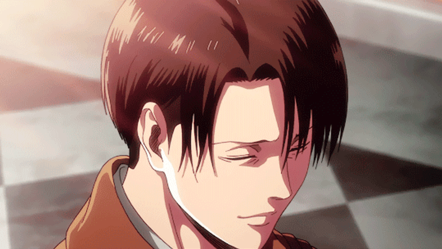 Shingeki No Kyojin Smiling Levi GIF