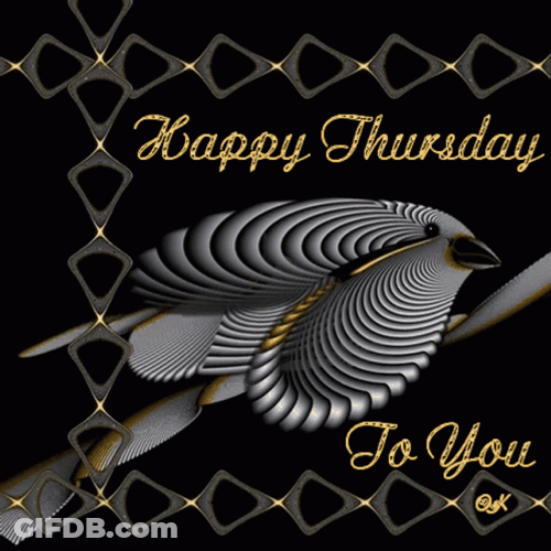 Shining Bird Happy Thursday Funny Card GIF