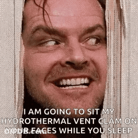 Shining Heres Johnny GIF