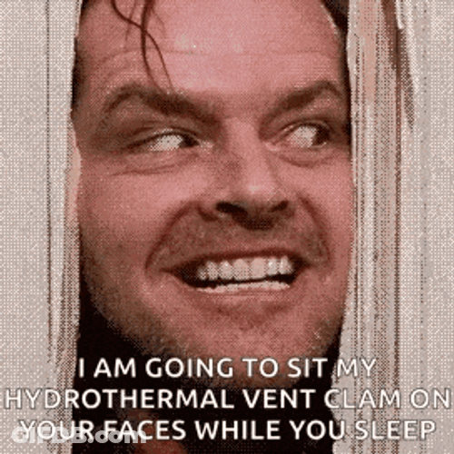 Shining Heres Johnny GIF