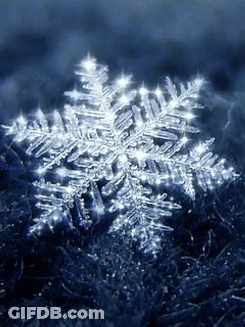 Shining Snowflake On Ground GIF