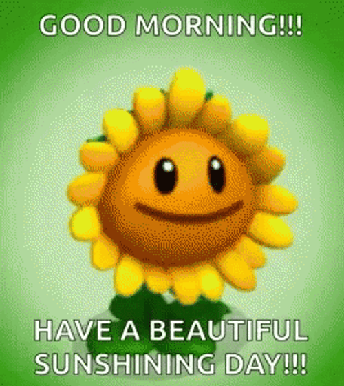 Shining Sunflower Happy Sunshine Day GIF