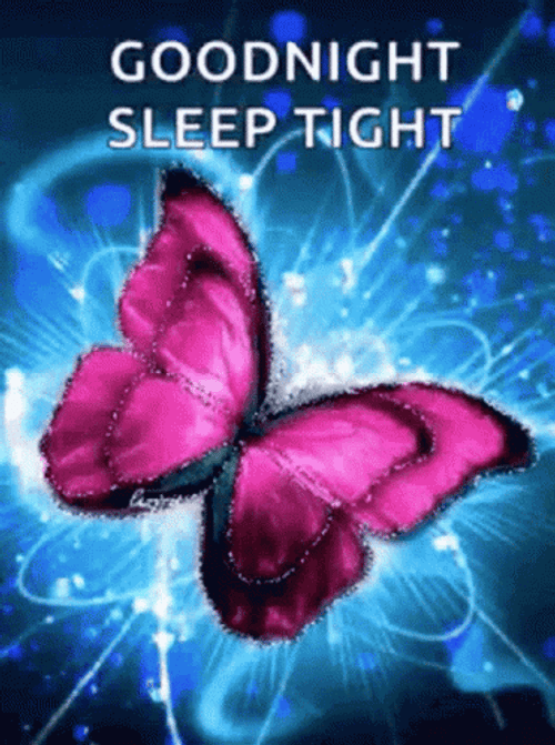Shining Violet Butterfly Have A Great Night GIF