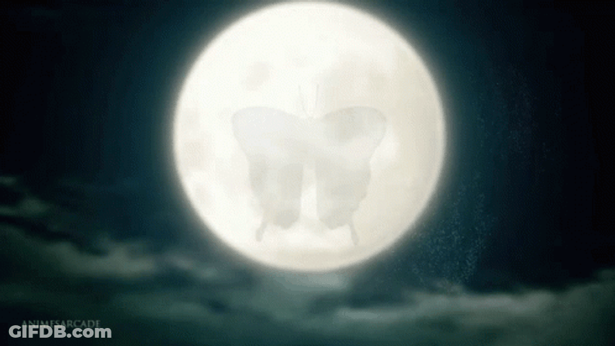 Shinobu Kocho Butterfly Insect GIF