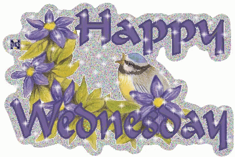 Shiny Animated Blessed Wednesday Text GIF