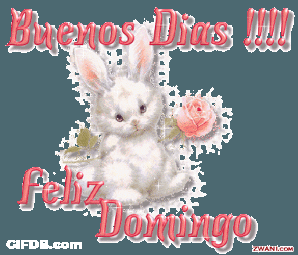 Shiny Bunny Feliz Domingo Graphic Design GIF