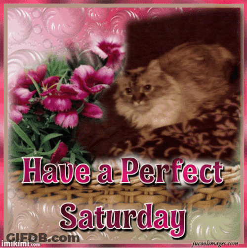 Shiny Design Saturday Blessings GIF