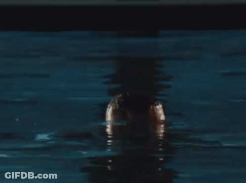 Shirtless Bearded Man Standing In Water GIF