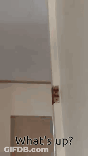 Shirtless Man Dancing Hey Girl Hey GIF