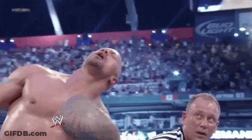 Shirtless Man In Front Of Referee In Stadium GIF