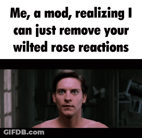 Shirtless Man In Front Of Sign Saying Me A Mod Realizing I Can Just Remove Your Wilted Rose GIF
