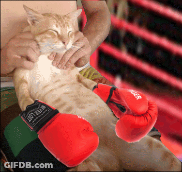 Shirtless Man In Red Shorts And Black Gloves GIF