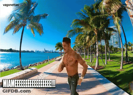 Shirtless Man Running In Front Of Palm Trees Caption Miamieeeeeeeeee GIF