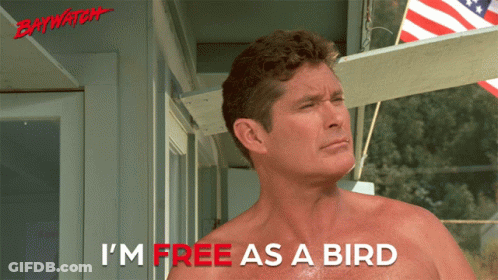 Shirtless Man Says I'm Free As A Bird In Red GIF