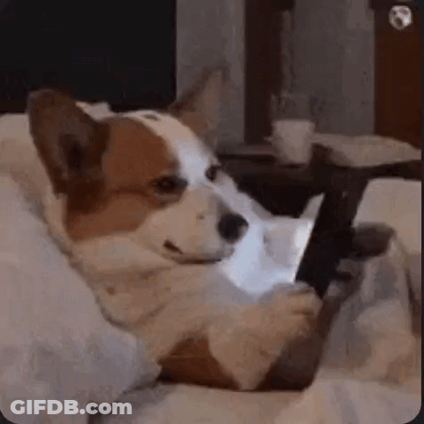 Shirtless Man With Necklace Smiling At Camera GIF