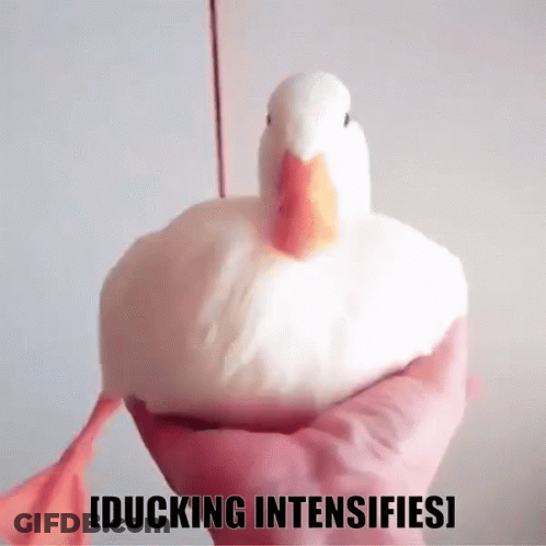 Shirtless Wrestler In Ring With Tiffanyluv24 GIF