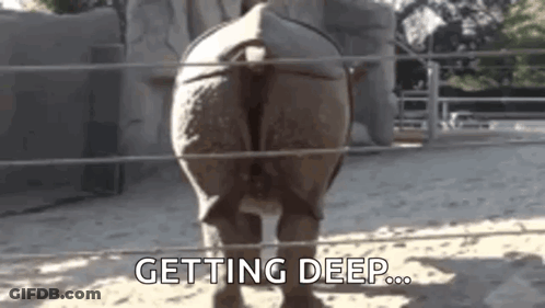 Shit Ton GIF