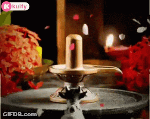 Shiva Lingam With Candles And Flowers GIF
