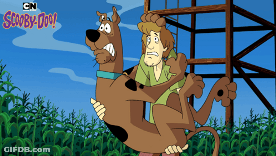 Shivering Dog Scooby Doo And Shaggy Rogers GIF