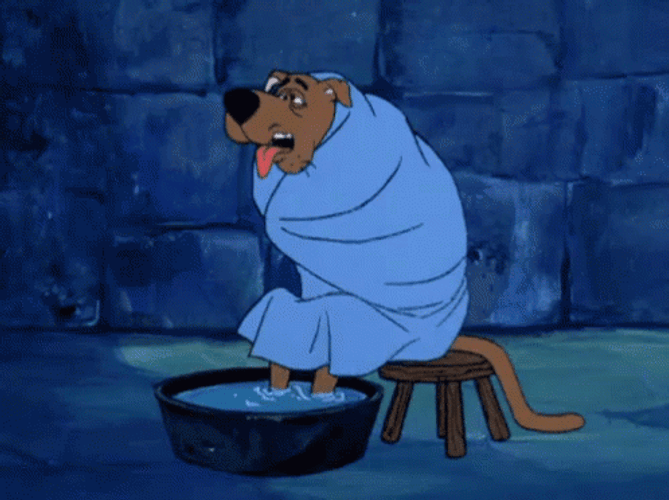 Shivering Dog Scooby Doo Wrapped In Blanket GIF
