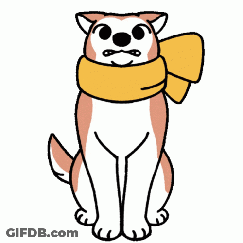 Shivering Dog With Scarf Around Its Neck GIF