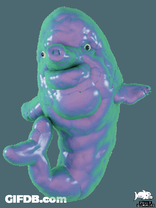 Shivery Blue Dolphin Jellygummies GIF