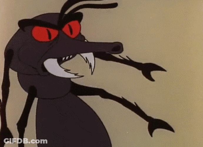 Shnookums And Meat Funny Insect GIF