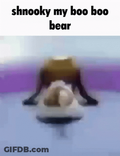 Shnooky My Boo Boo Bear GIF