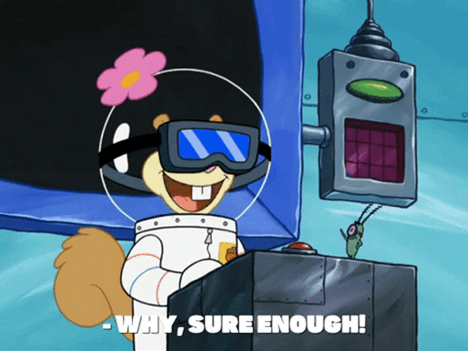 Sho Nuff Sandy Cheeks SpongeBob GIF