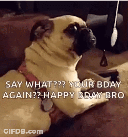 Shock Dog Happy Birthday Bro GIF