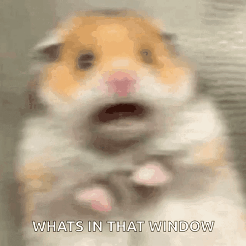 Shocked And Shaking Hampter GIF