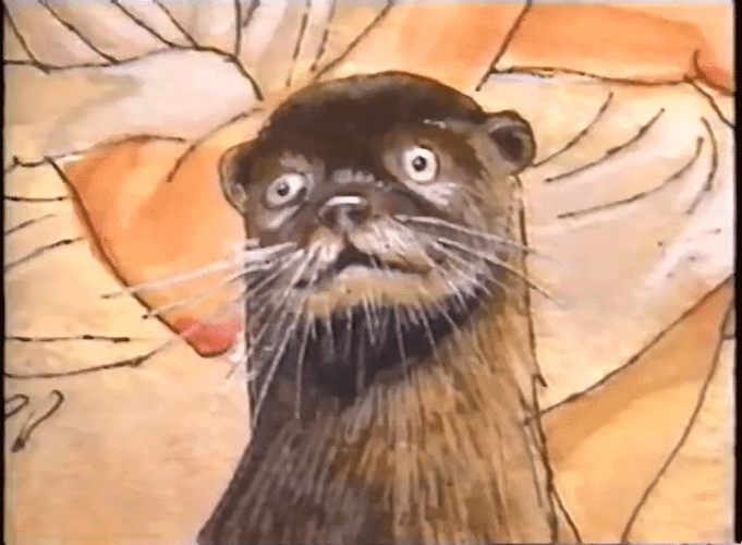 Shocked Beaver Blank Stare GIF