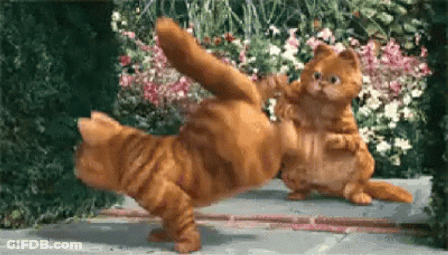 Shocked Break Dance Garfield Dancing GIF