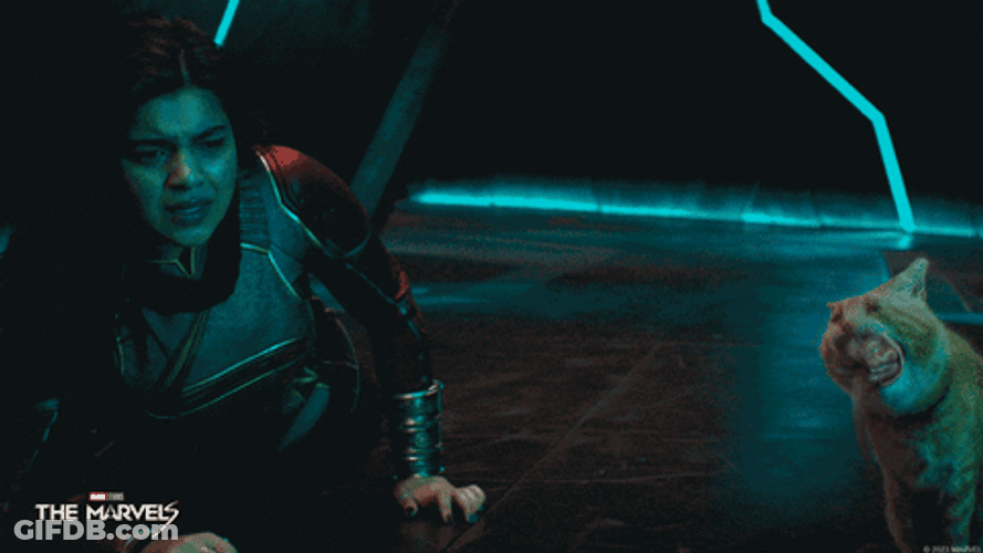 Shocked Captain Marvel Monster Cat GIF