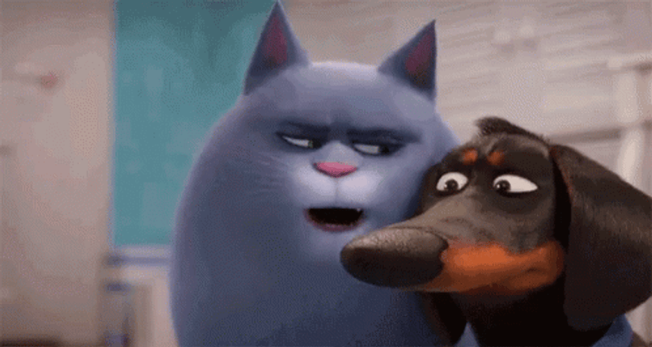 Shocked Cat Dog Secret Life GIF