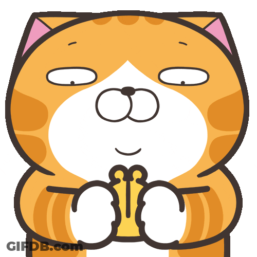 Shocked Cat Flying Empty Wallet GIF