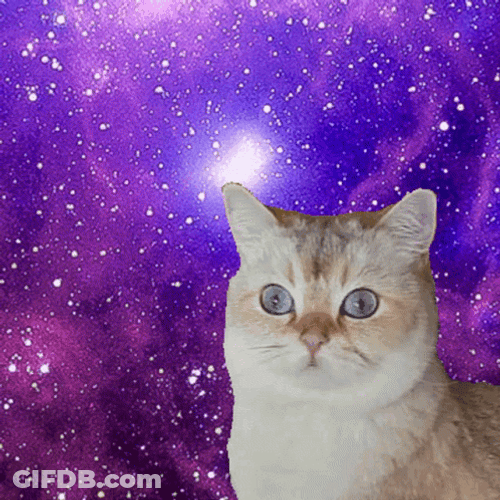 Shocked Cat Spinning In Outer Space GIF