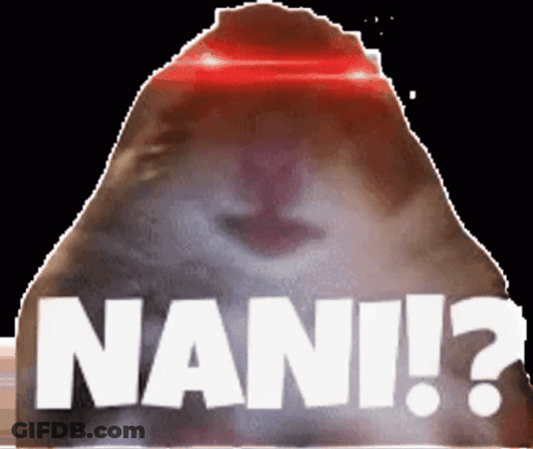 Shocked Chipmunk Nani Meme GIF