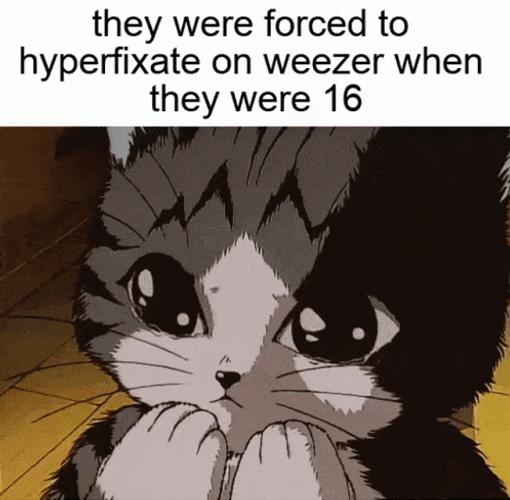Shocked Crying Cat GIF