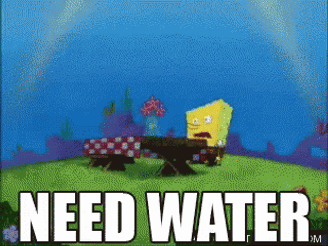 Shocked Dry Spongebob Need Water GIF