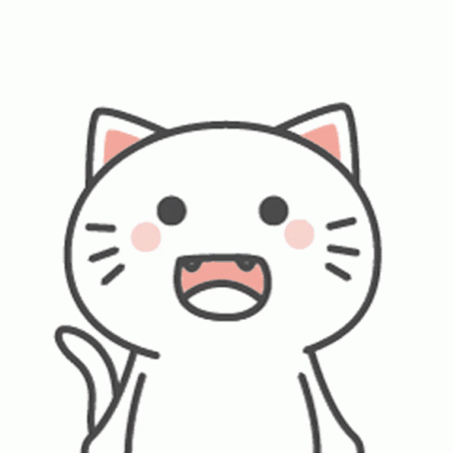 Shocked Funny KikiCat What GIF