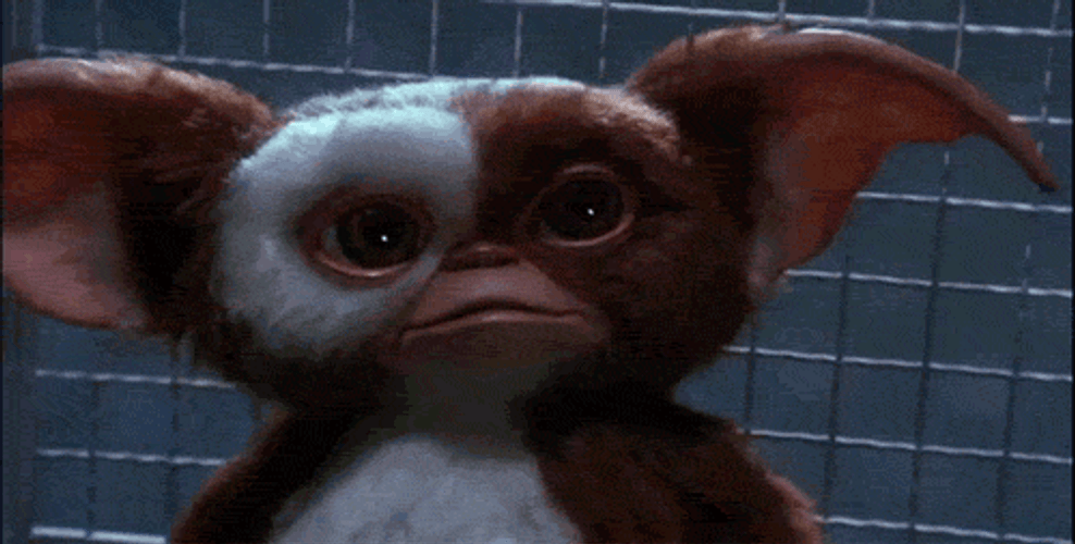 Shocked Gasp Gizmo Gremlins GIF
