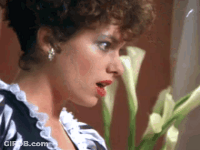 Shocked Gasp Susanna Hoffs GIF