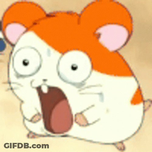 Shocked Hamtaro Hampter Meme GIF
