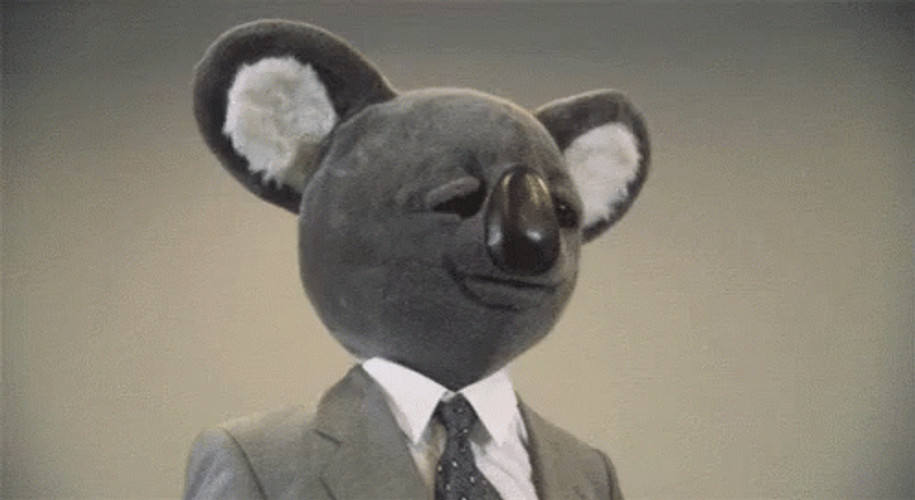 Shocked Koala Mascot GIF