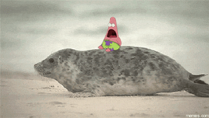 Shocked Patrick Star On The Seal GIF