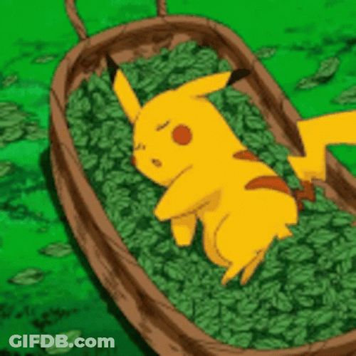 Shocked Pikachu Sleeping GIF