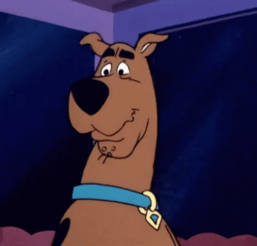 Shocked Scooby Doo Reaction GIF