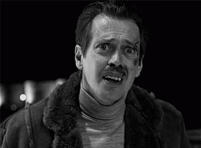 Shocked Steve Buscemi Wound On Face GIF